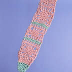 WEIRD PINK NECKTIE